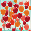 Spring 2
