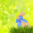 Ostern Hintergrund - Osterhase im Gras