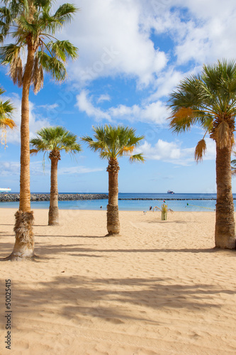 Photo: palms of las Teresitas beach, Tenerife, Spain palms of las Teresitas beach, Tenerife, Spain