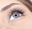 Woman eye