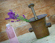 Lavender and lavender oil