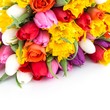 Foto: Frühlingsblumen Frühlingsblumen