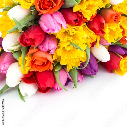 Photo: Frühlingsblumen Frühlingsblumen