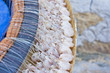 shrimps hooked to the hooks of Conzo