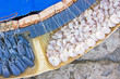 shrimps hooked to the hooks of Conzo