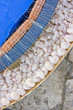 Shrimp hooked to the hooks of Conzo