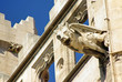 Foto: Gothic Gargoyle Gothic Gargoyle