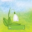 Vector grunge spring background