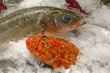 Seafood