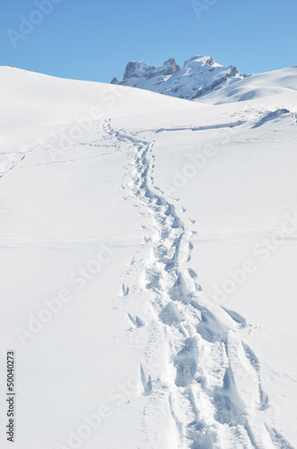 Photo: Footsteps on the snow. Melchsee-Frutt, Switzerland Footsteps on the snow. Melchsee-Frutt, Switzerland