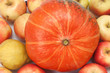 Photo: pumpkin pumpkin