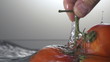 Tomato and splash water