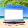 modern laptop under palm tree
