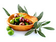 Olives and Olive Oil