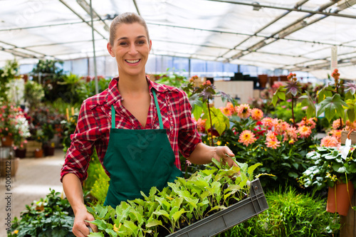Photo: gardener in her green house flower shop gardener in her green house flower shop