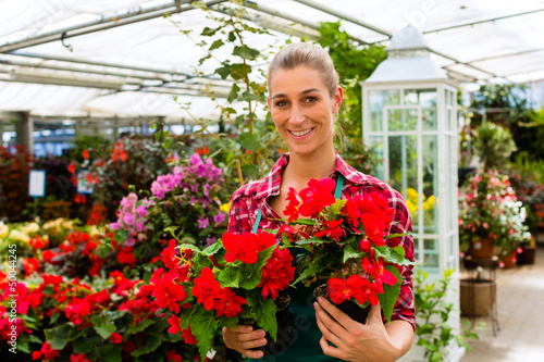 Photo: gardener in her green house flower shop gardener in her green house flower shop