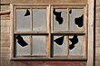 Ventana con cristales rotos