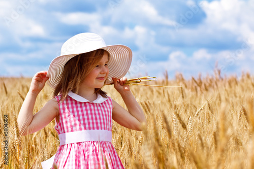 Photo: wheat field wheat field