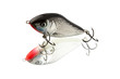 holographic bait