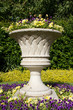 Big pot with yellow flowers