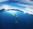 Sea Sea
