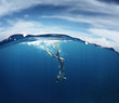 Sea