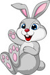 Cute rabbit bunny sitting