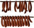 Vector: Smoked sausage Smoked sausage