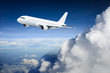 Airplane in the sky - Passenger Airliner / aircraft