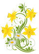 Ostern, Osterglocken, Narzissen, Frühling, Gänseblümchen