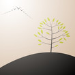 spring tree background