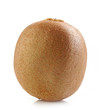 fresh kiwi fruit
