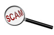 Illustration: Detecting a Scam Detecting a Scam