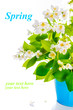Photo: Spring branches in blossom Spring branches in blossom