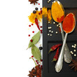 Spices border.Isolated on white