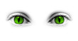 Foto: Yeux verts femme-chat, fond blanc Yeux verts femme-chat, fond blanc