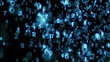 blue digital world 10.00-20.00 loop