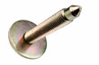 Special fixing screw