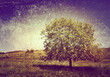 single stree on textured background.