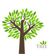 Tree of life