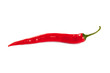 Rote Peperoni Freisteller I