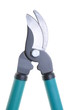 Garden shears to work in the garden