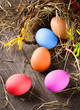 Colorful easter eggs in brown basket