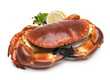 crab