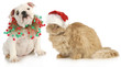 christmas pets
