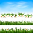 Collection of green grass backgrounds. Vector illustration.