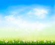 Nature background. Vector illustration