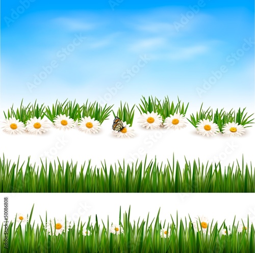 Vector: Collection of green grass backgrounds. Vector illustration. Collection of green grass backgrounds. Vector illustration.