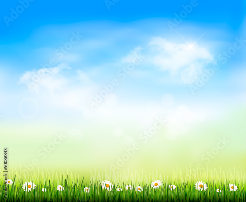 Vector: Nature background. Vector illustration Nature background. Vector illustration