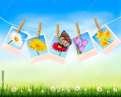 Vector: Nature background with photo with flowers and butterfly. Vector Nature background with photo with flowers and butterfly. Vector
